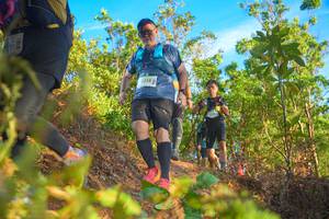 BIB: 2318
                            <button type="button" onclick="openModal(21842196)" class="btn btn-primary btn-sm float-right btn-popup" data-toggle="modal" data-target=".modal-high-quality">
                        <i class="fas fa-shopping-cart"></i> Add to Cart
                    </button>
                                            <button type="button" onclick="isThisMe(21842196, true)" class="btn btn-success btn-sm float-right btn-popup btn-isme hidden" data-toggle="tooltip" data-placement="bottom" title="นี่คือรูปของคุณใช่ไหม คลิกที่นี่เพื่อเอาเข้าอัลบั้ม">
                        <i class="fas fa-plus"></i> Add to album
                    </button>
                    <button type="button" onclick="isThisMe(21842196, false)" class="btn btn-warning btn-sm float-right btn-popup btn-isnotme hidden">
                        <i class="fas fa-ban"></i> Remove from album
                    </button>